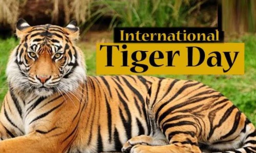 global tiger day