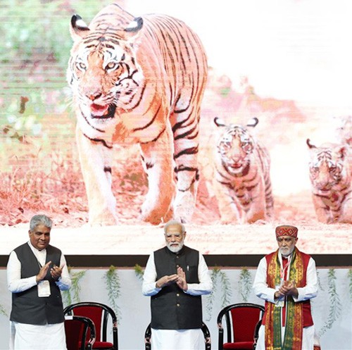 pm narendra modi says 'proud moment for rising tiger population in india'