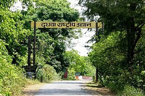 दुधवा नेशनल पार्क/dudhwa national park