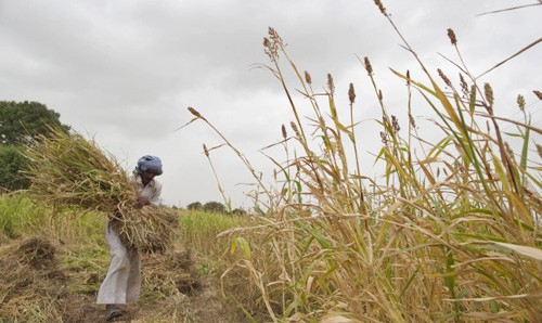 agreement with the government and the world bank on farmer