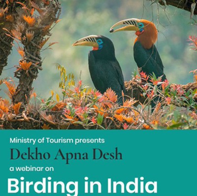 birding in india webinar