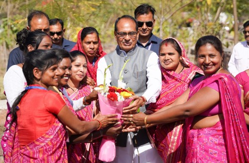 tree plantation done on international women's day