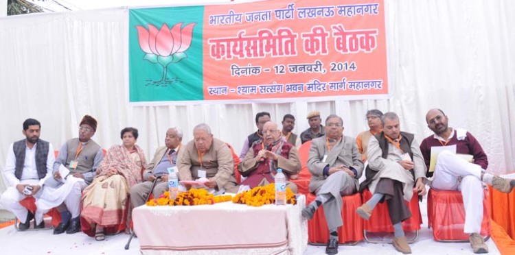 bjp lucknow mahanagar working committee