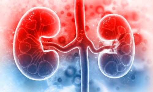 corona infection heavy on kidney patients