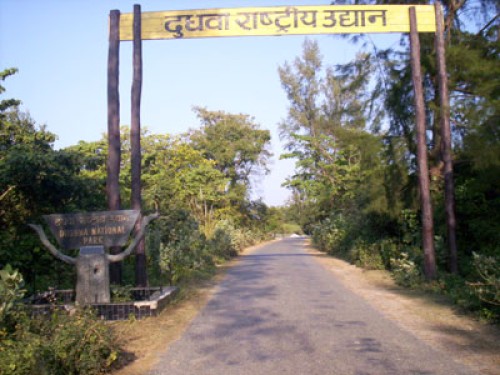 दुधवा नेशनल पार्क/dudhwa national park