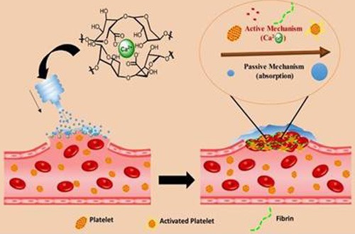 starch based 'haemostat' will stop the bleeding