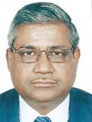 radha binod berman