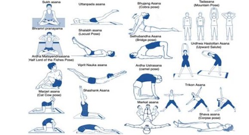 yoga will remove chronic lower back pain