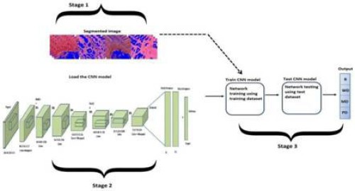 classification method using convolutional neural network