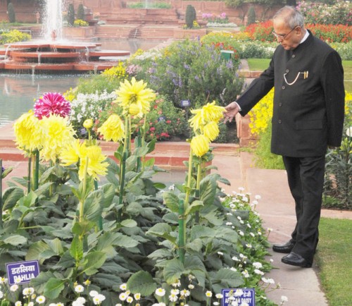 president pranab mukherjee