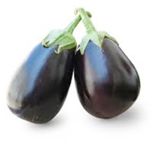 बीटी बैंगन-bt brinjal